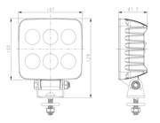 DETAIL50981
